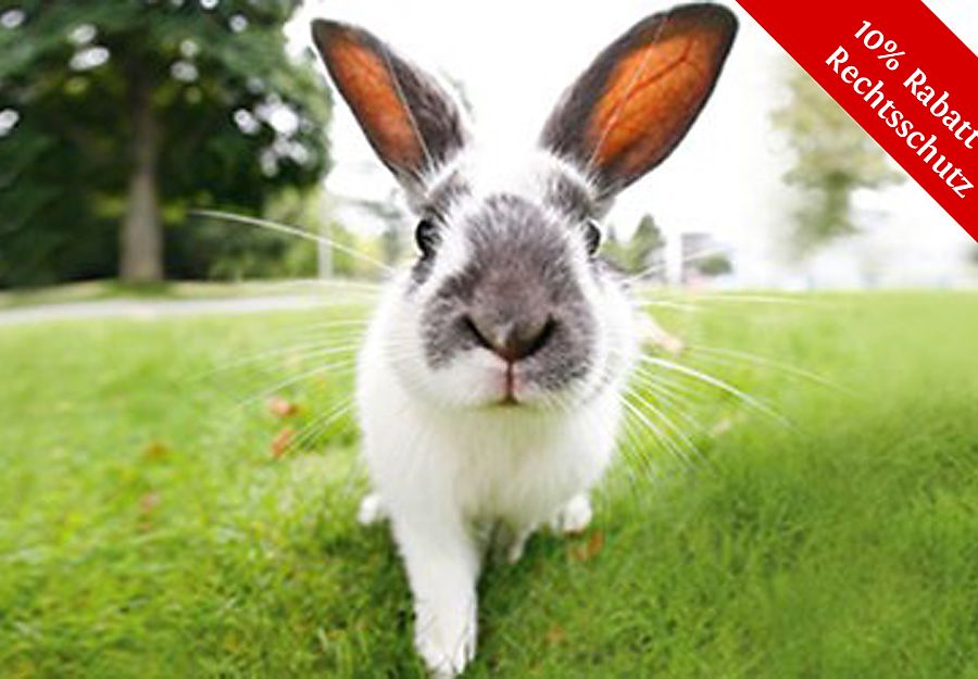 BavariaDirekt Vermittlerinformation April 2023 – Osteraktion Rechtsschutz